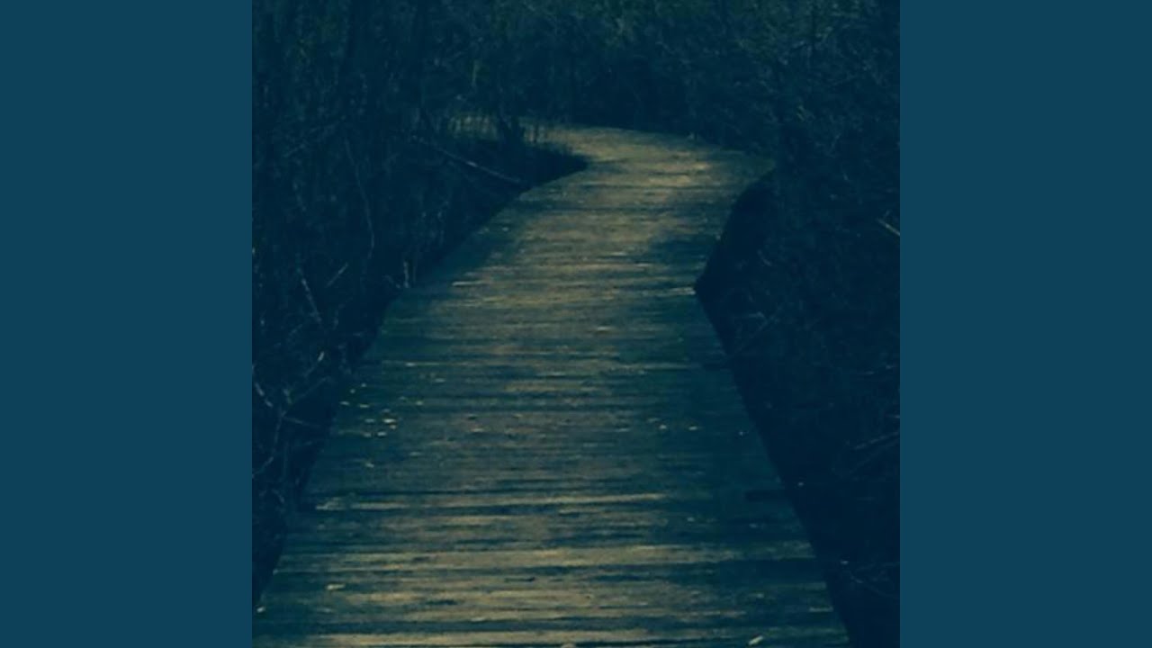 Another Point of View