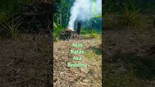 Zero Budget buat  #fertigasi dan #hidroponik