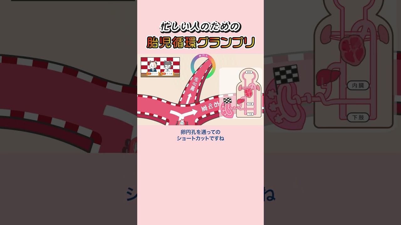 忙しい人のための胎児循環グランプリ