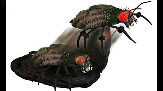 Spirit Halloween 2013 Jumping Bug Animatronic