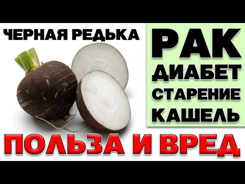 ЧЕРНАЯ РЕДЬКА - ПОЛЬЗА И ВРЕД (ЛУЧШИЙ КОРНЕПЛОД ПО СОСТАВУ МАКРО И МИКРОЭЛЕМЕНТОВ)