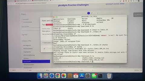 PicoCTF Static ain’t always noise (General Skills)