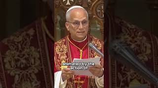 The Church as One Body Embracing Diversity a #popeleoxiv #news #faith