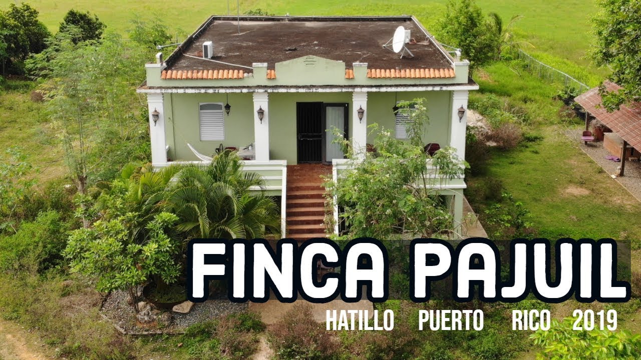 Finca Pajuil in Hatillo Puerto Rico YouTube