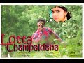 Lotta champaldana  telangana song best comdey song ever  ali akbar  attar tanveer