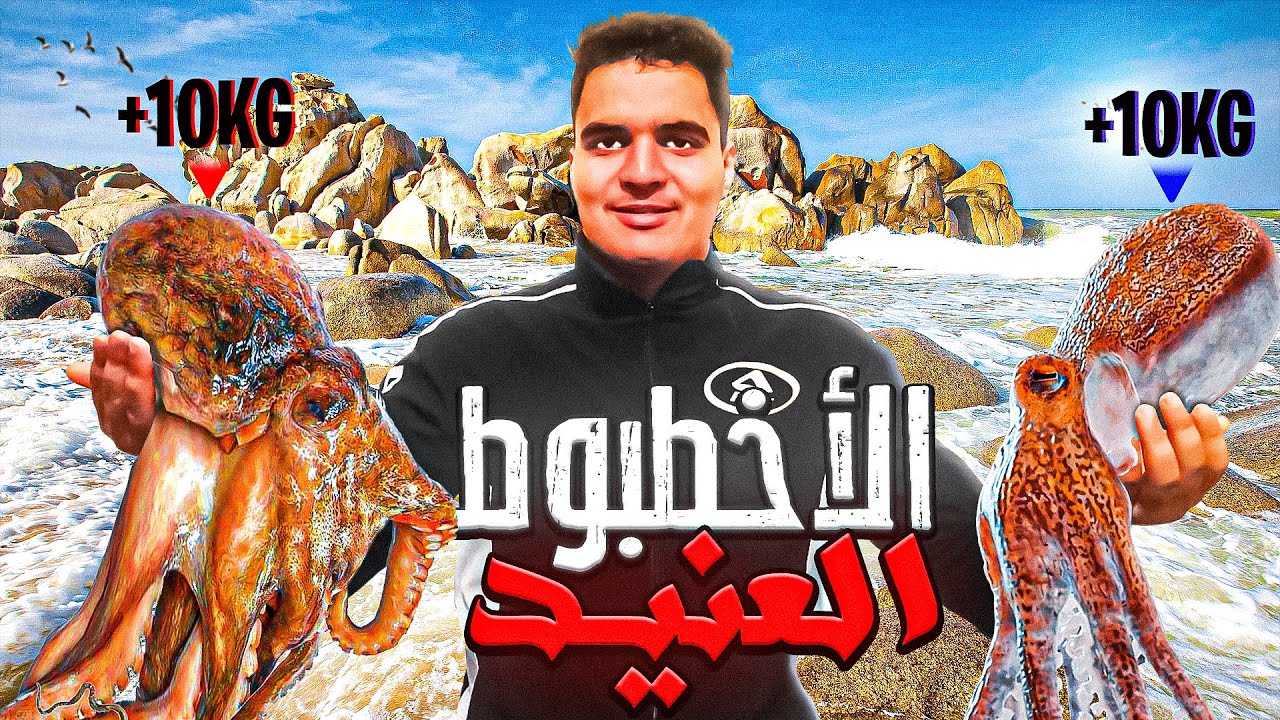 وثائقي : تحدي صيد الاخطبوط عملاق 🐙😱و الاسماك 🎣 في أخطر بحر 🤯🌊 (صيد,طبخ) 😋