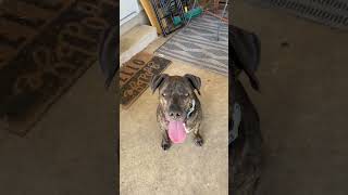IMG 4144