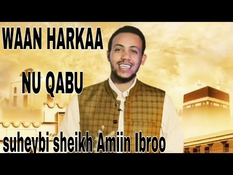 Waan Harkaa Nuqabu Dubbii Ajaaiba Suheybi Sheikh Amiin Ibroo