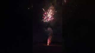 LEO 100s FIREWORK TMNT SERIES (Check out PyroManiacs in Fort Wayne, IN). #shorts # Update