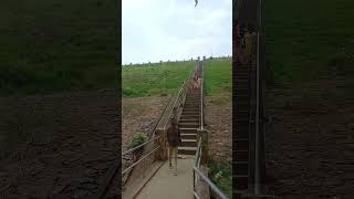 pothundi dam#viralvideo#home