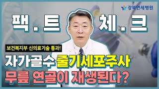 보건복지부 신의료기술 통과한 자가골수줄기세포주사! 무릎 연골이 재생된다? [닥터 김용찬의 팩트체크] #줄기세포치료 #줄기세포 #무릎통증