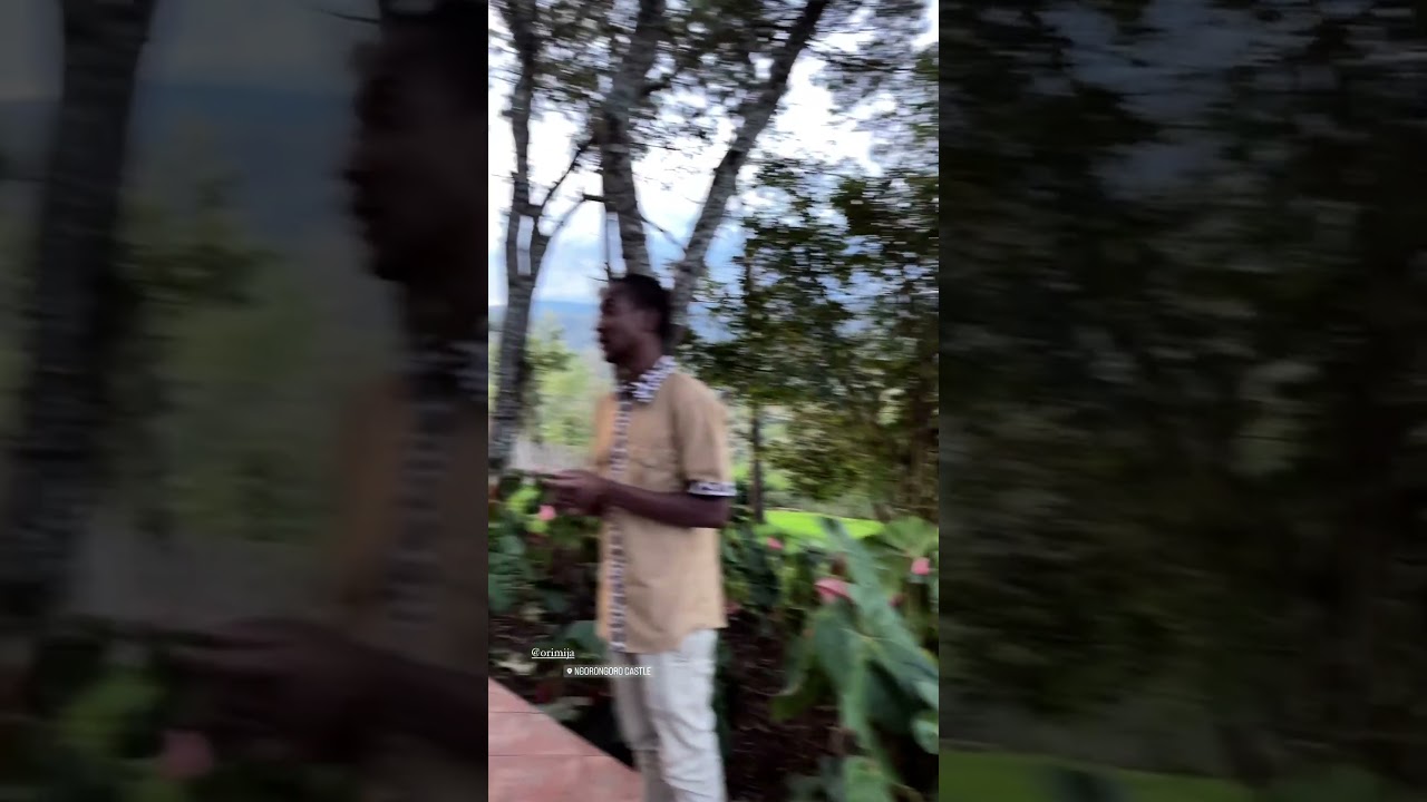 The Castle at Ngorongoro hotel. Национальный парк Нгоронгоро 