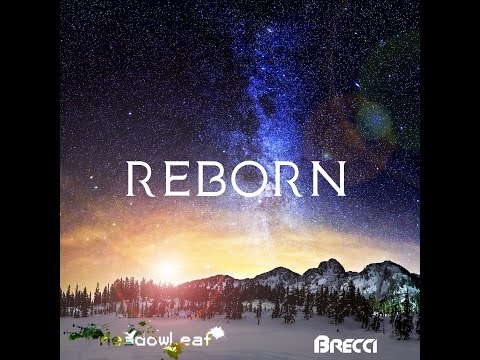 Watch Meadowleaf x Brecci Reborn on YouTube Watch Meadowleaf x Brecci Reborn on YouTube