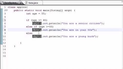 Java Video Tutorial Part 19 |  else if Statement