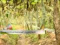 Farms across Palakkad getting ready