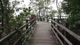 Download Lagu Sungei Buloh Wetland Reserve MP3