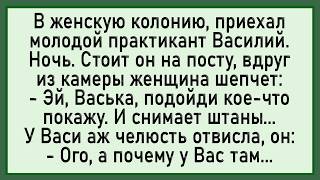 картинка: Васька был в ШОКЕ! Сборник свежих анекдотов! Юмор!