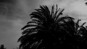 الشيخ عبدالله كامل ، سورة ق