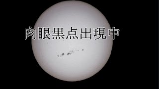 肉眼黒点出現中