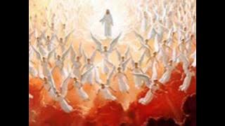 Breve Virá - Arautos do Rei