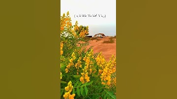 ( رَبَّنَا لاَ تُؤَاخِذْنَا إِن نَّسِينَا أَوْ أَخْطَأْنَا) حالات واتساب سورة البقرة