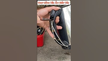Cách Thay Công Tắc Ấm Siêu Tốc.