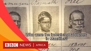 Indentured Labour in Mauritius Explained - BBC What's New