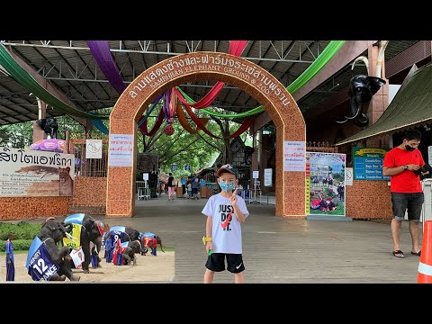 เที่ยวลานแสดงช้างและฟาร์มจระเข้สามพราน(Samphran Elephant Ground And Zoo) @Nakhon Pathom