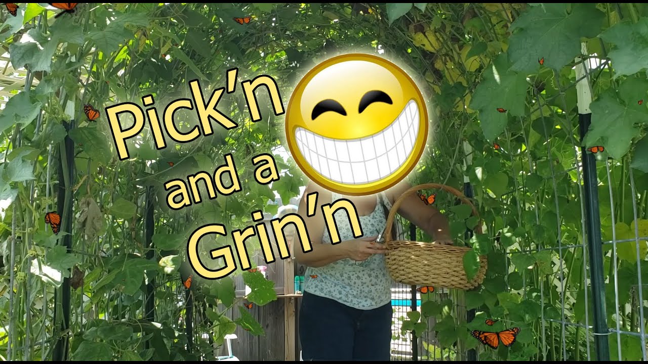 Wee Garden Homestead - Pickin and Grinin