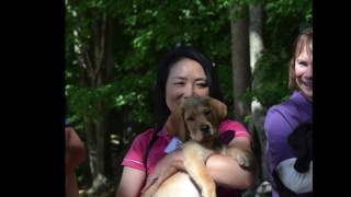 THANK YOU!  National Volunteer Week 2017