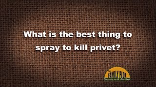 Q&A – What is the best thing to spray to kill privet?