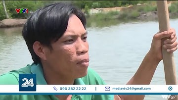 Hiệu quả không ngờ từ mô hình nuôi tôm trong rừng ngập mặn tỉnh Cà Mau