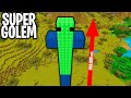 HO SPAWNATO IL GOLEM ALTO 999.999 mt. HACKER - Minecraft