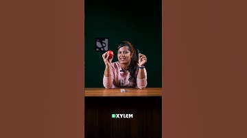 ഇതിൽ Acid ഉണ്ടോ ?? | Xylem Class 5