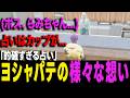 【ストグラ】シャンクズ、らみを彷彿とさせるヨシャパテの占い【ヨシャパテ ストグラSeason2 香月ろぎあ GTA5】