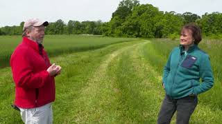 Land Conservation in Kent County
