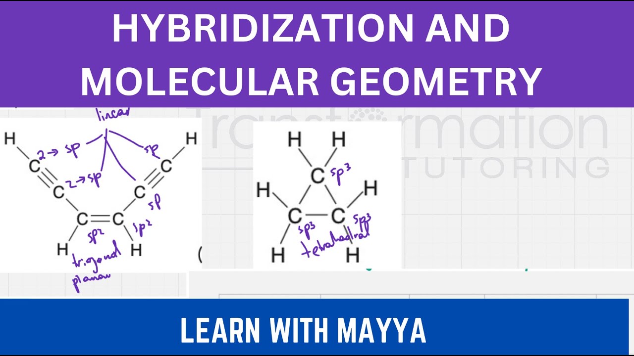 Identify the hybridization state and geometry of each carbon atom in ...