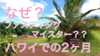 なぜファスティングマイスターになったの？【その４】ハワイ・オワフ島での２ヶ月間のファームステイ