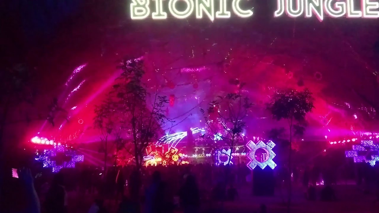 EDC México  2020 BIONIC JUNGLE, STEREOBLOOM AND NEON GARDEN