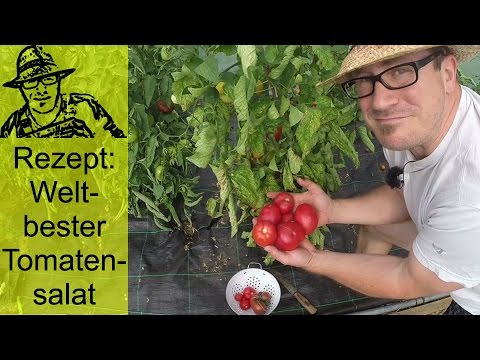 Video: Rüben-Tomaten-Salat