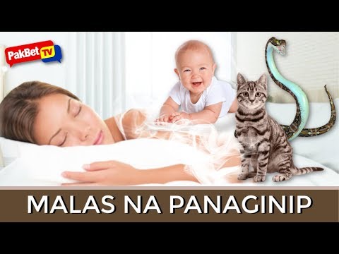 Video: Ano ang gamit ng nag-iisang plato?