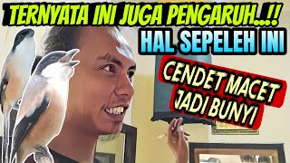 HAL INI SERING DI REMEHKAN ⁉️ TERNYATA BISA BIKIN CENDET MACET JADOR GACOR DOR LAGI
