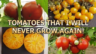 TOMATOES THAT I WILL NEVER GROW AGAIN! DIDN'T MEET MY EXPECTATIONS!