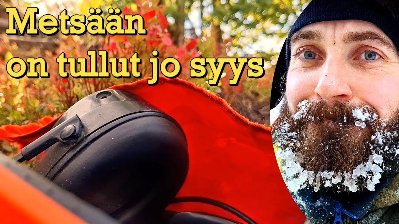Metsään on tullut jo syys - Metsurin päiväkirjaa