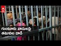 Scuffle takes place between Guntur, Tamil Nadu devotees in Tirumala darshan line, visuals
