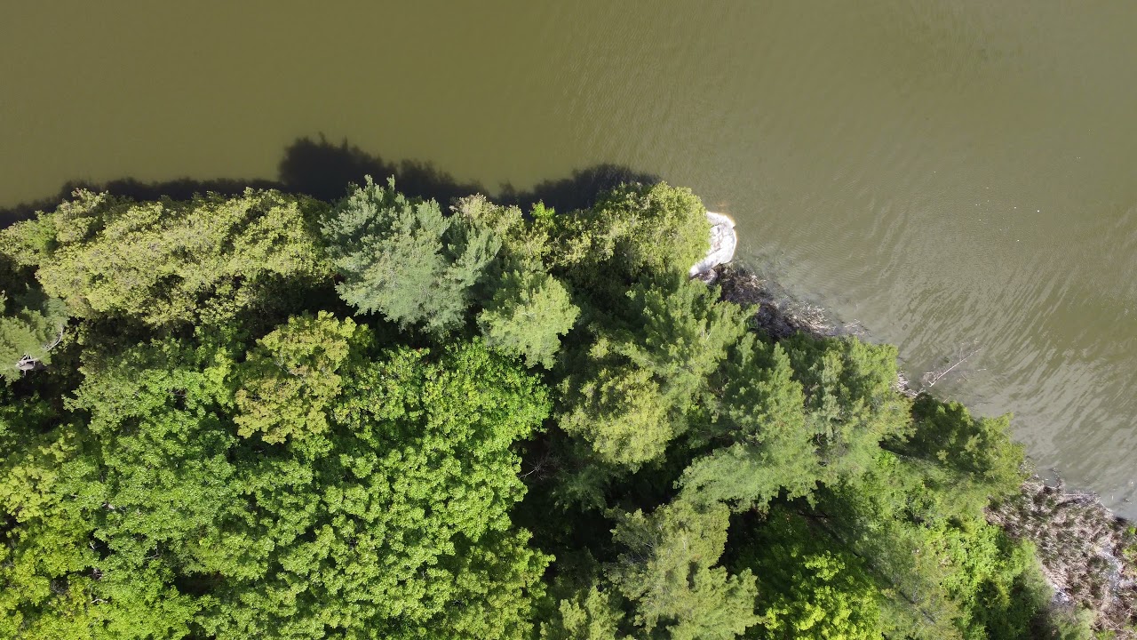 Shelburne Pond, Vermont YouTube
