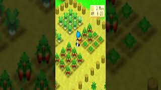 Harvest Moon Back To Nature