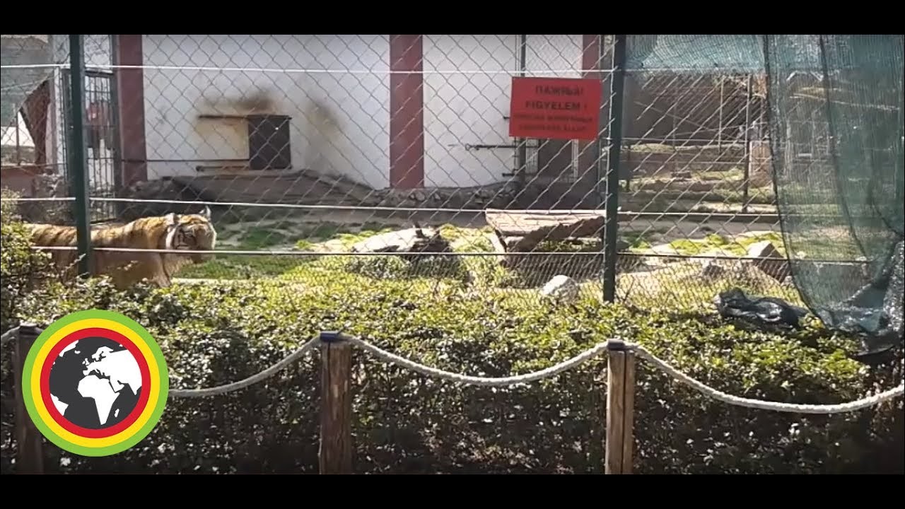 Zemlja gruva! - Jednom je sada