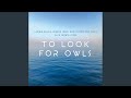 Miniature de la vidéo de la chanson To Look For Owls