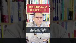 「怒りが収まらず、何日経っても思い出してしまう」の対処法【精神科医・樺沢紫苑】